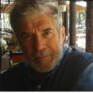 Speaker at Infectious Diseases Conferences - Ronaldo Zucatelli Mendonca